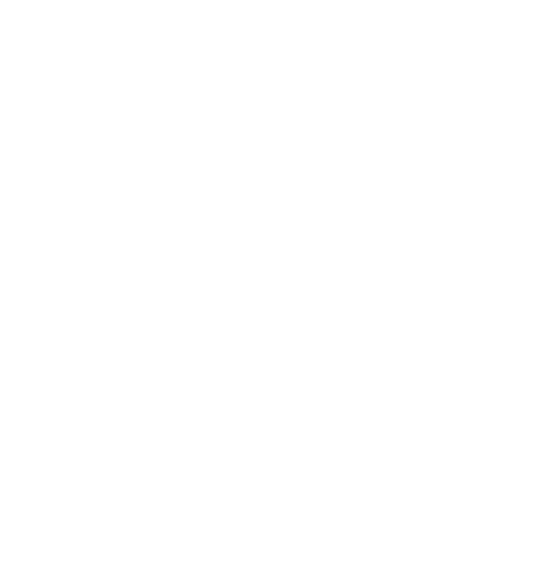 BlueOrbit Fintech LLC