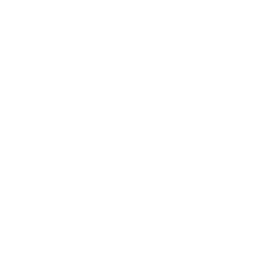 BlueOrbit Fintech LLC